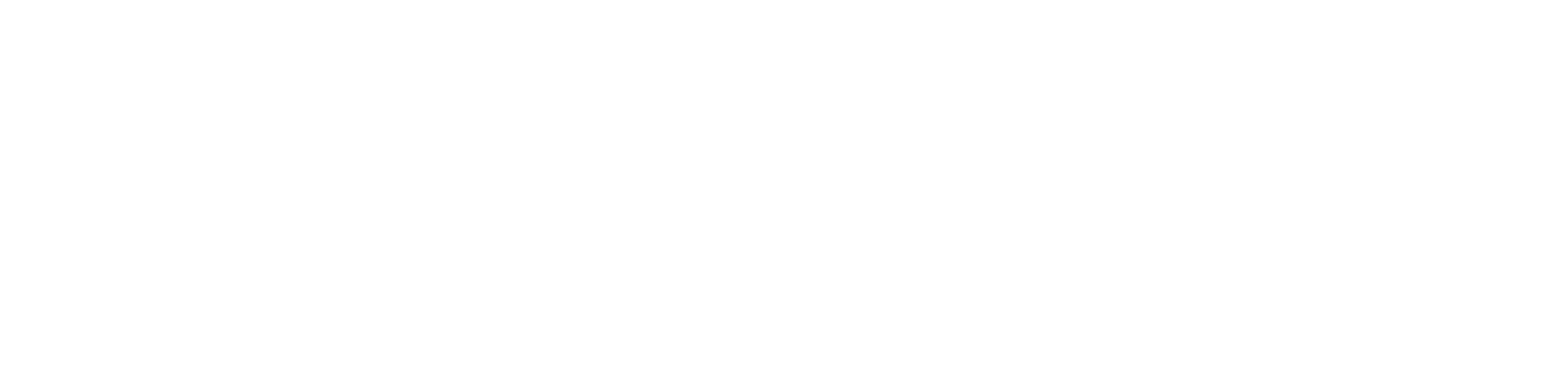 Anthropic Claude